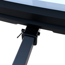 Load image into Gallery viewer, Max Dual Motorcycle Carrier
